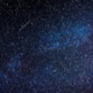 Meet your Posher, Hazel